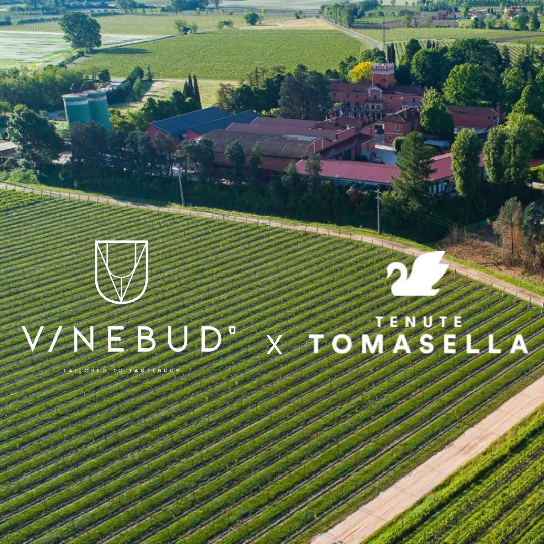 Image of Vinebud x Tenute Tomasella