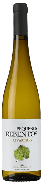 Image of Márcio Lopes, Pequenos Rebentos Alvarinho 2023