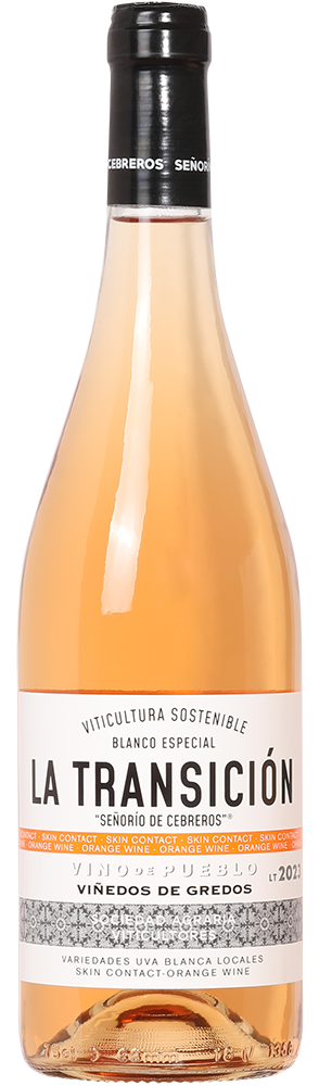 Image of Soto y Manrique, La Transición 2021