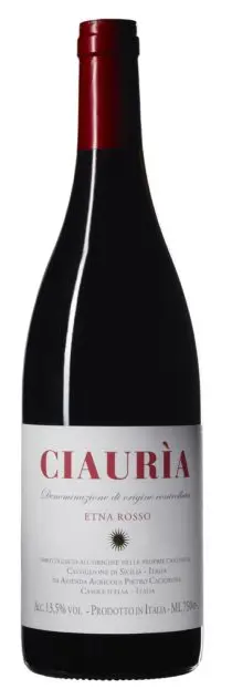 Image of Pietro Caciorgna, Ciauria 2024