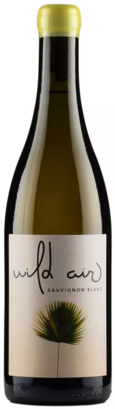 Image of Storm, Wild Air 2022