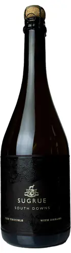 Image of Sugrue, The Trouble With Dreams 2020